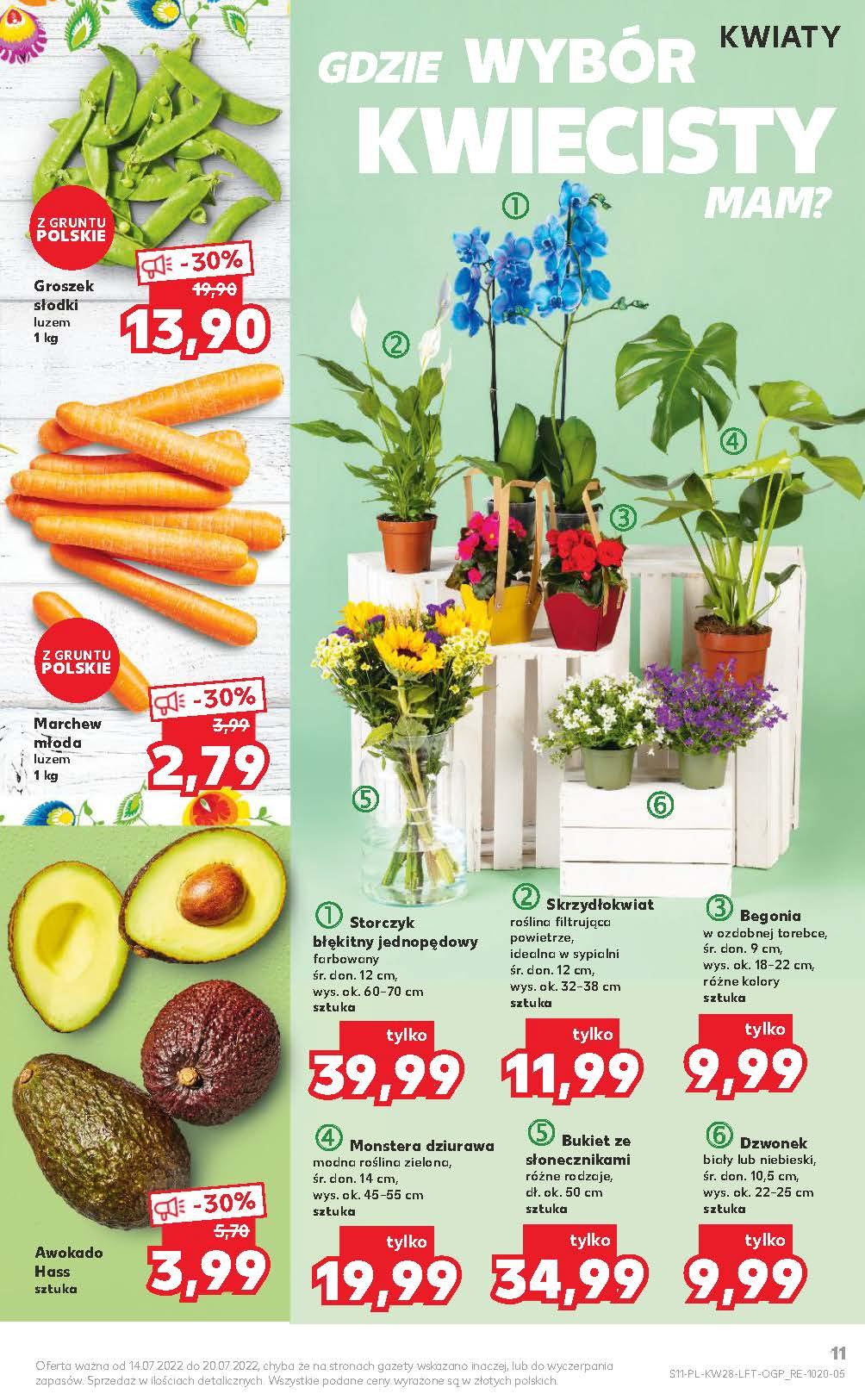 Gazetka promocyjna Kaufland str. 11