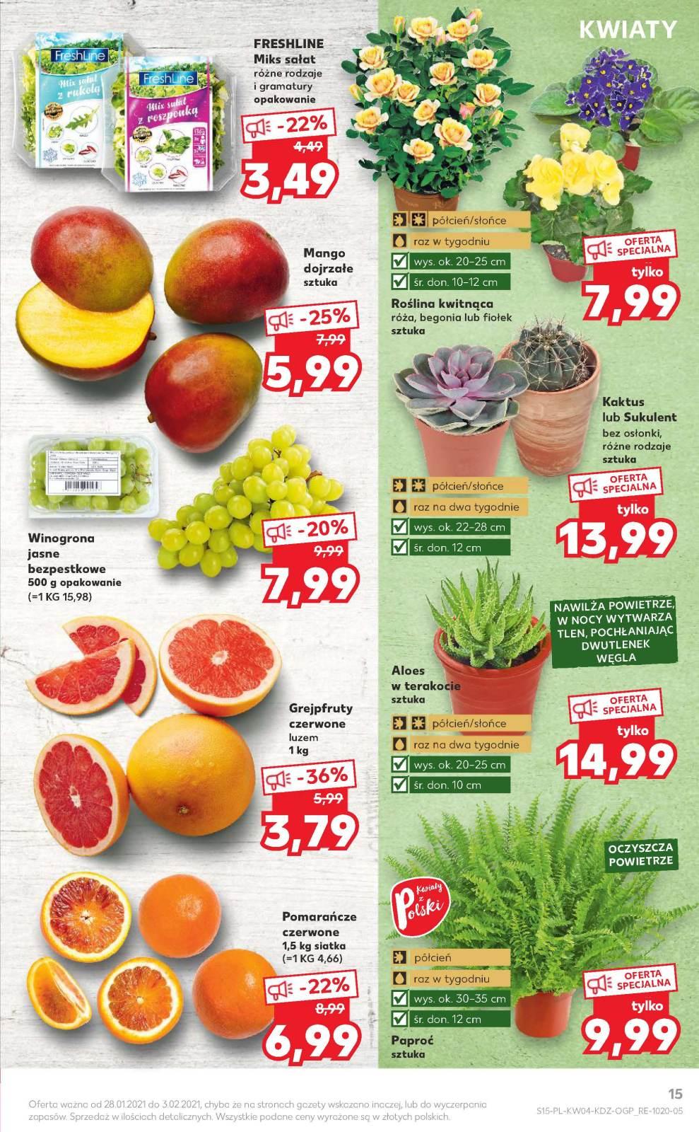 Gazetka promocyjna Kaufland str. 15