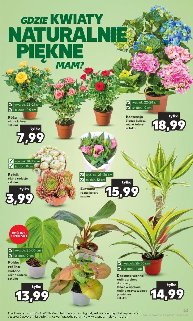 Gazetka promocyjna Kaufland str. 63