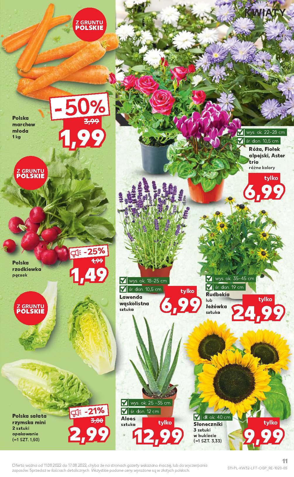 Gazetka promocyjna Kaufland str. 11