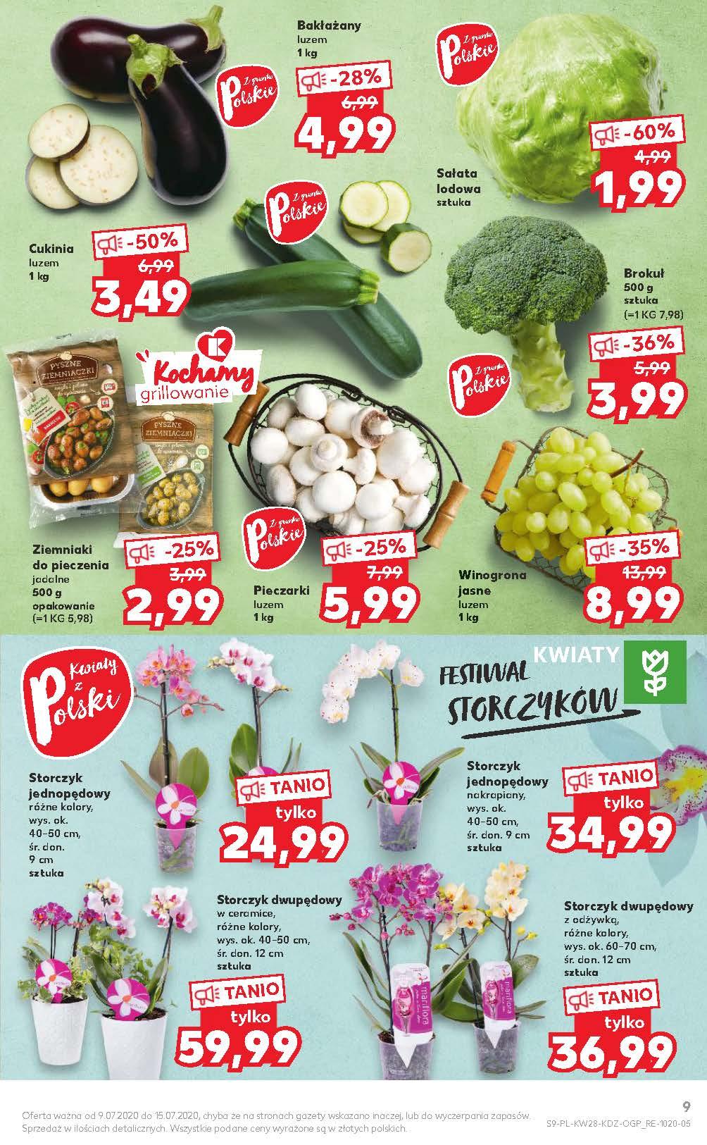 Gazetka promocyjna Kaufland str. 9