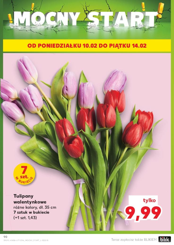 Gazetka promocyjna Kaufland str. 90