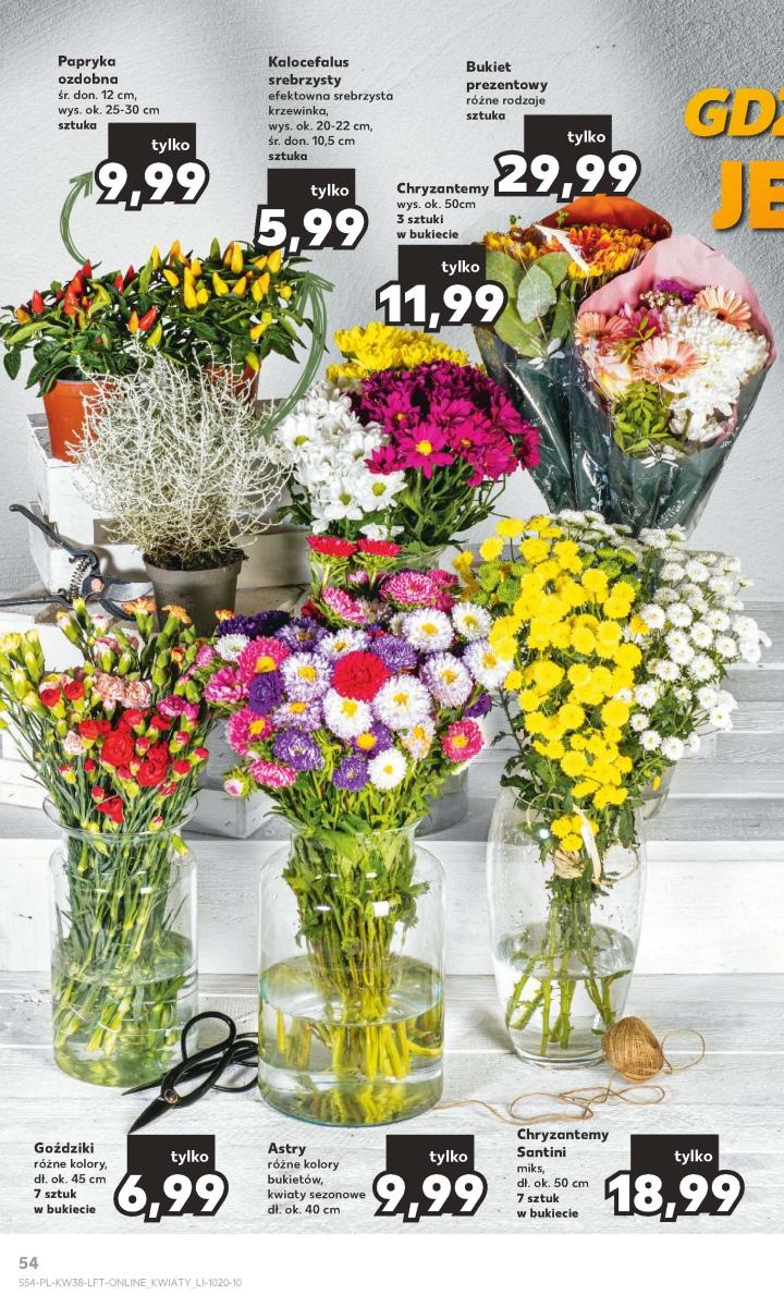 Gazetka promocyjna Kaufland str. 54