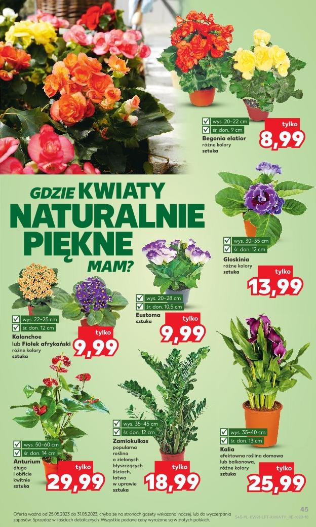 Gazetka promocyjna Kaufland str. 45