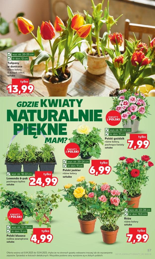 Gazetka promocyjna Kaufland str. 57