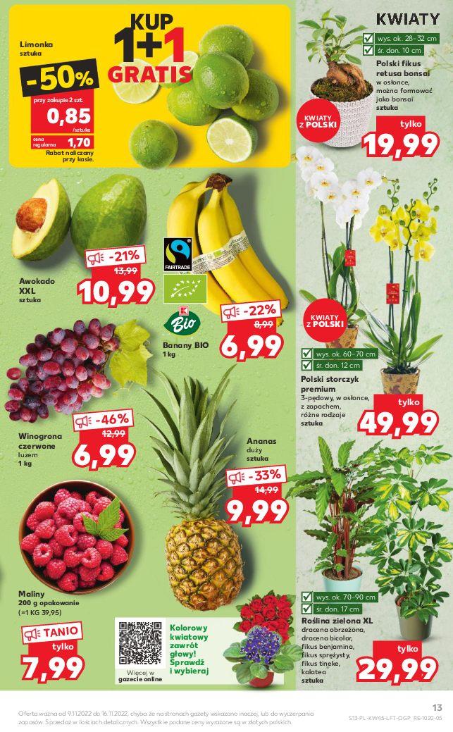 Gazetka promocyjna Kaufland str. 13