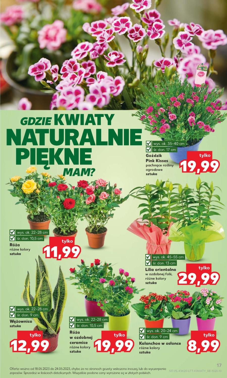 Gazetka promocyjna Kaufland str. 17