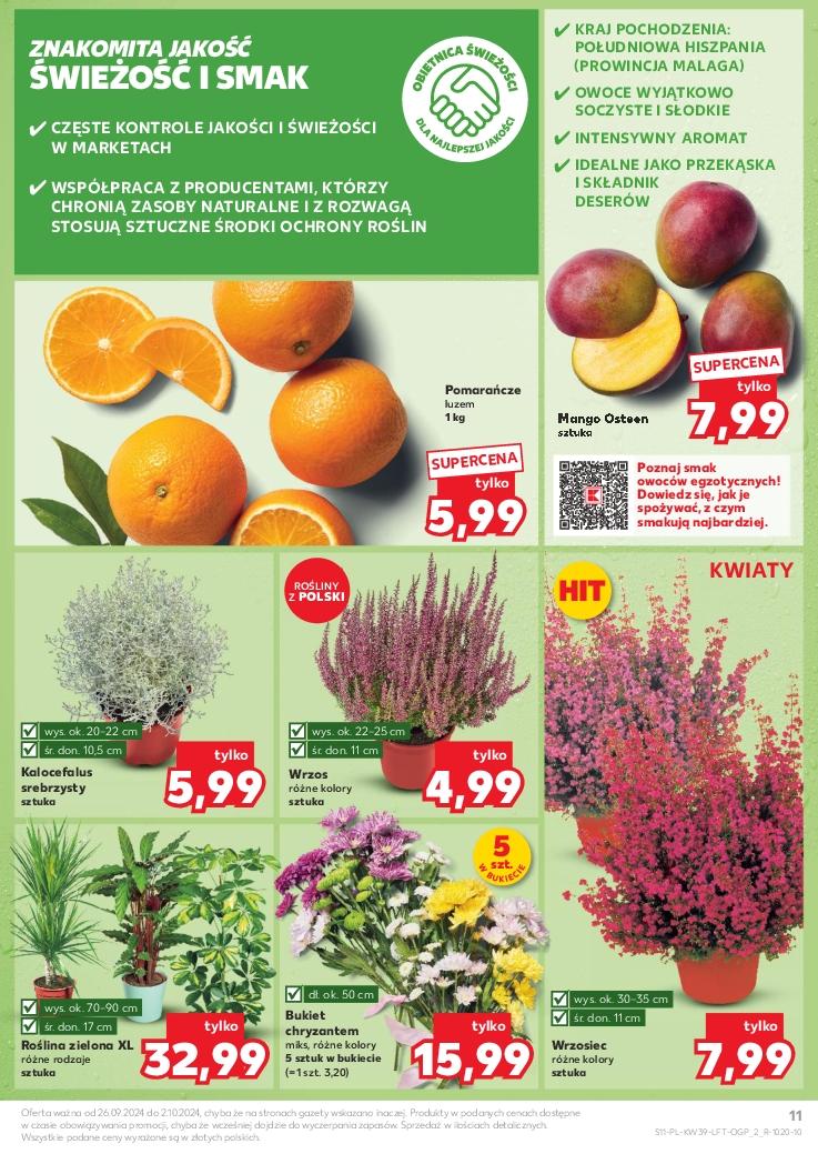 Gazetka promocyjna Kaufland str. 11