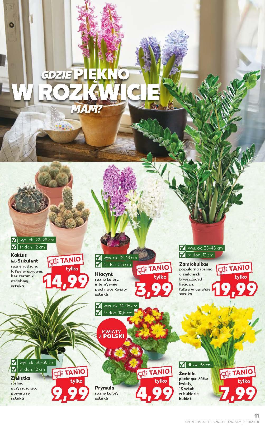 Gazetka promocyjna Kaufland str. 11