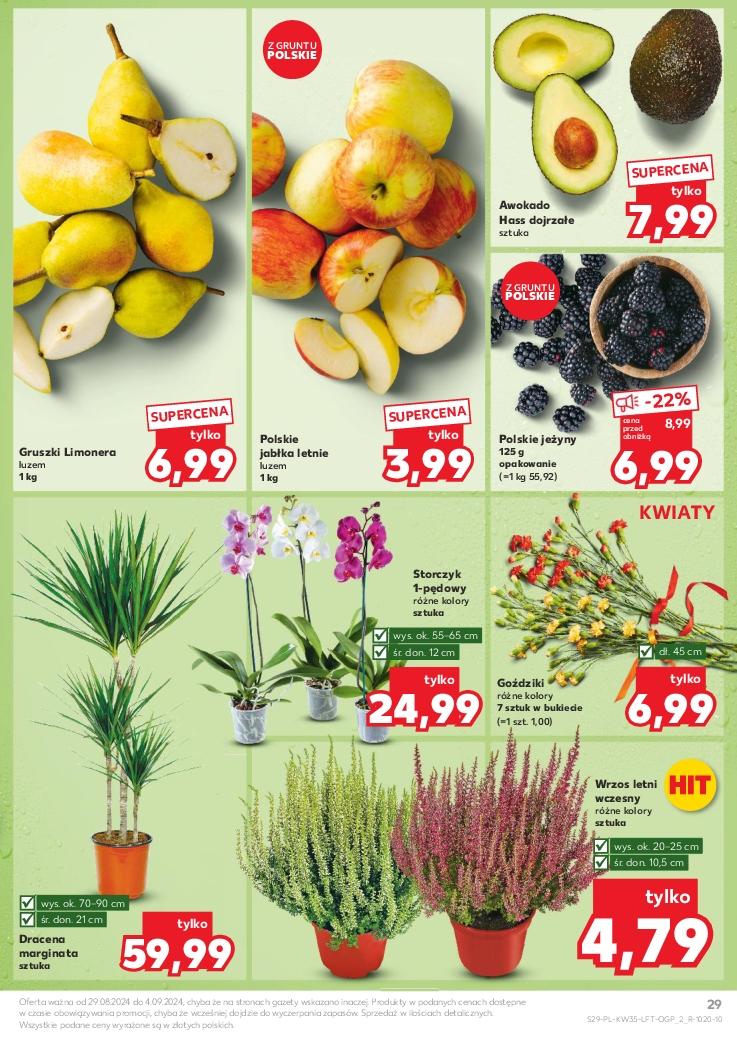 Gazetka promocyjna Kaufland str. 29