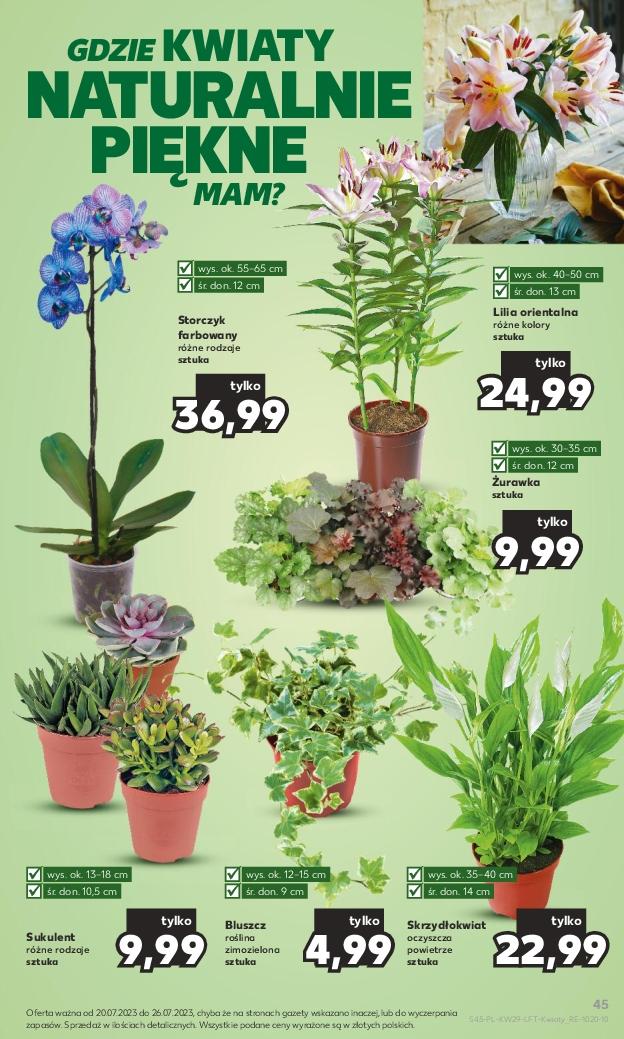 Gazetka promocyjna Kaufland str. 45