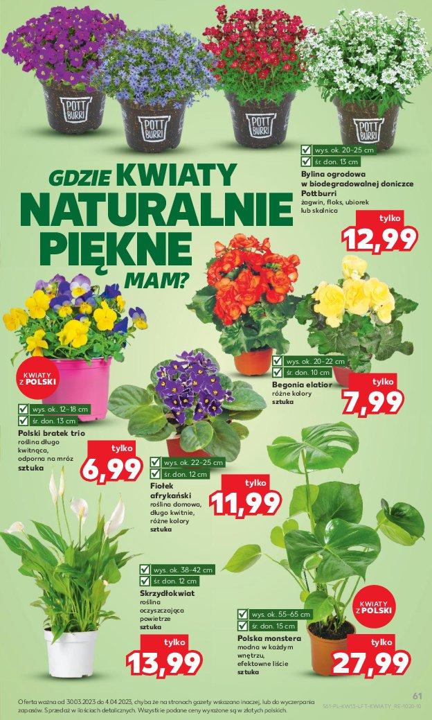 Gazetka promocyjna Kaufland str. 61